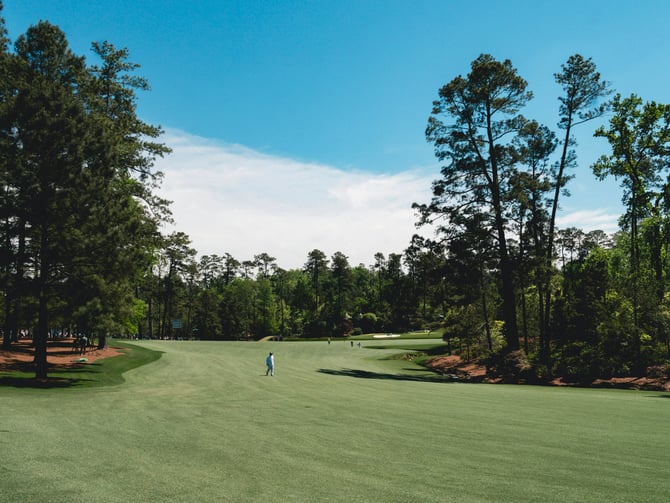 Golfer on a lush fairway lined with tall pine trees